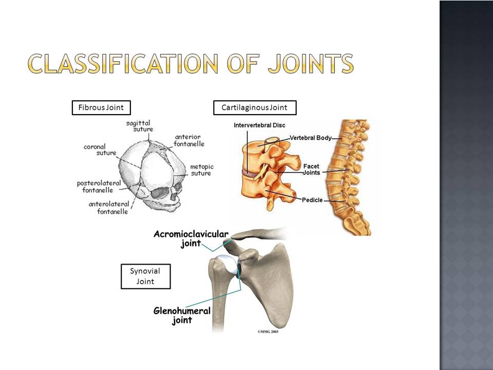 Classification of Joints