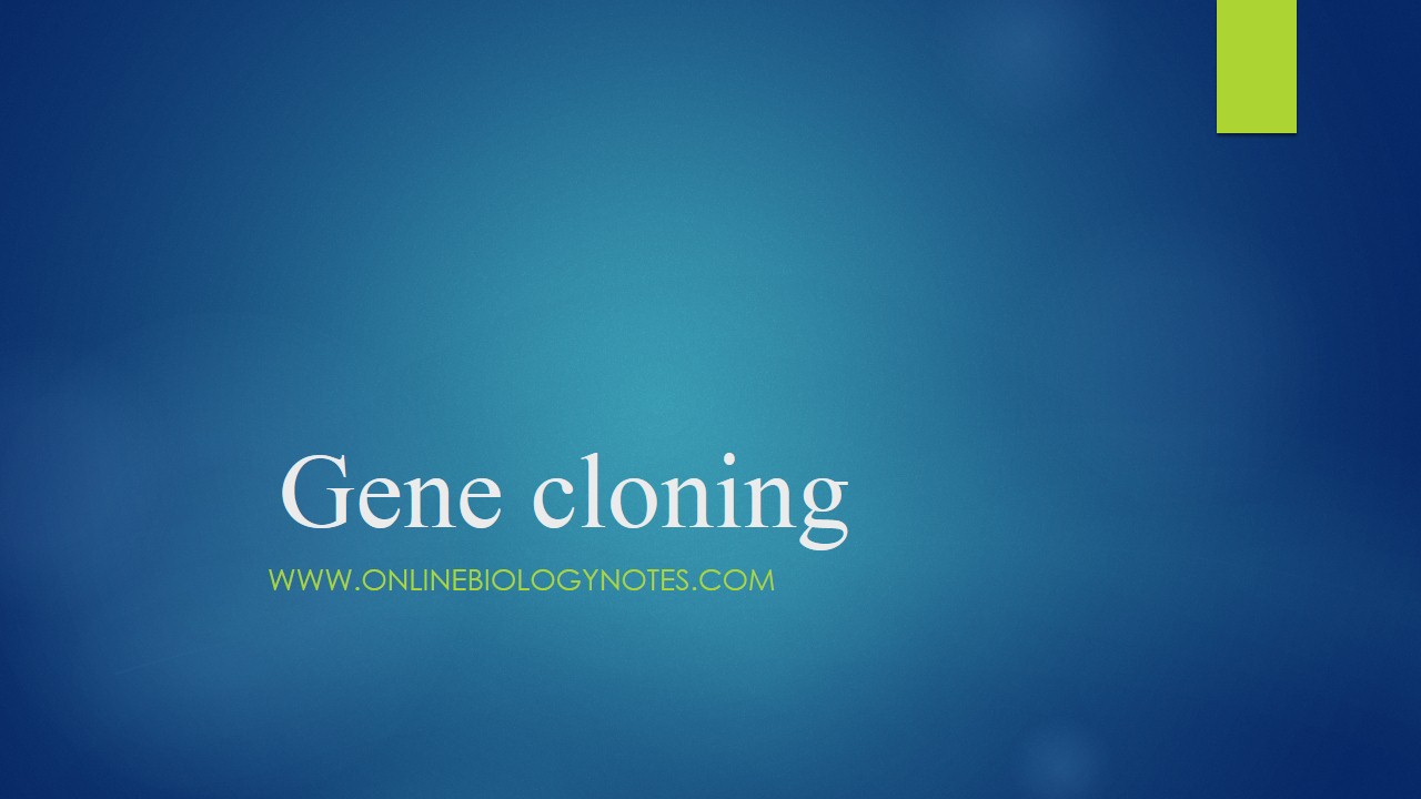 Gene cloning-Steps involved in gene cloning - Online Biology Notes