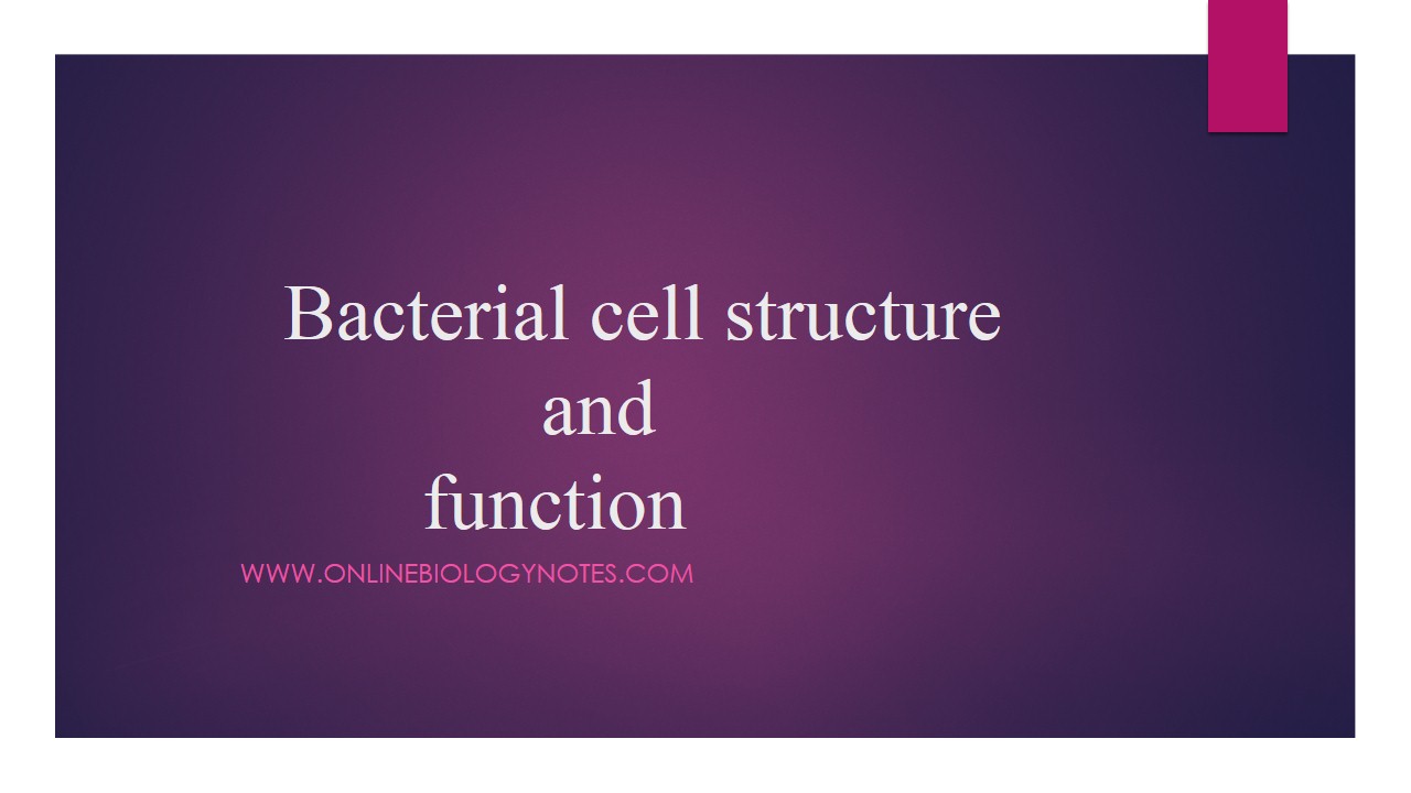Bacterial cell structure and function - Online Biology Notes