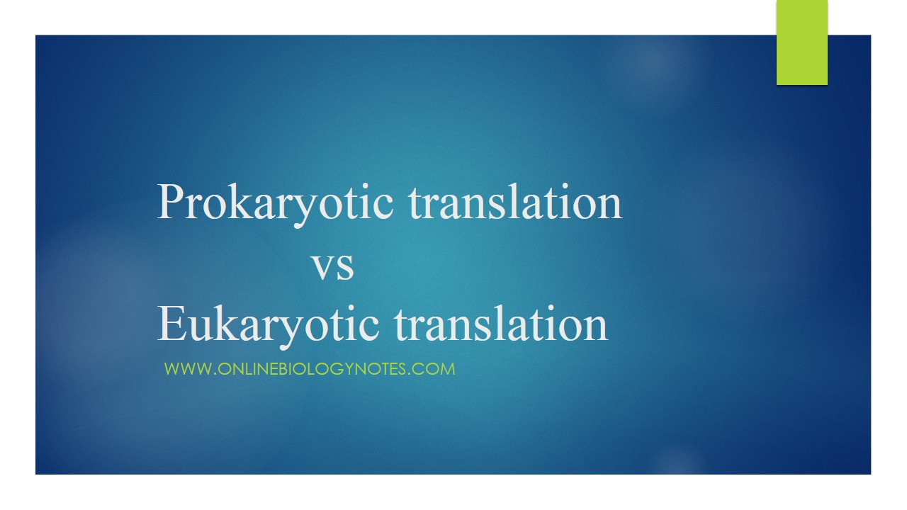Difference between Prokaryotic and Eukaryotic translation - Online