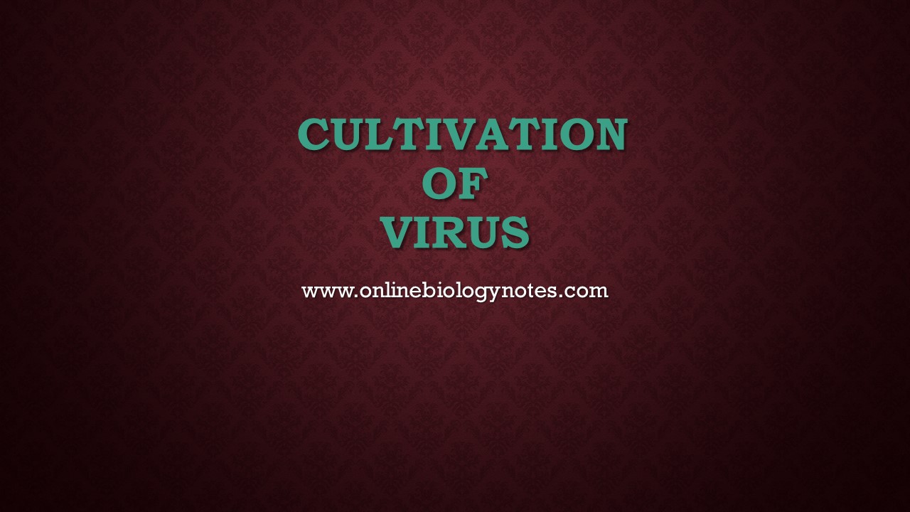 Cultivation of virus - Online Biology Notes