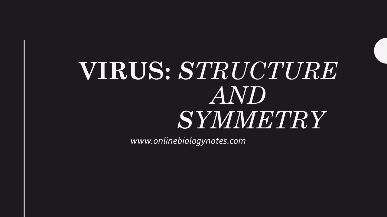 Virus: Structure and Symmetry - Online Biology Notes