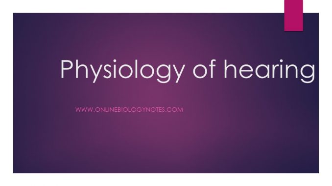 Physiology of hearing - Online Biology Notes