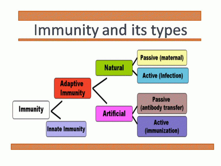 Online Biology Notes - Page 42 of 58 - A Complete notes for Students