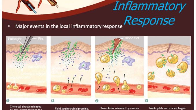 Earthworm peptide immune | Shaanxi BLOOM Tech Co., Ltd Earthworm peptide immune | Shaanxi BLOOM Tech Co., Ltd