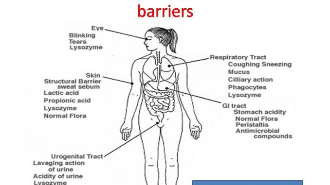 Anatomical and Physico-chemical barriers of immune system - Online