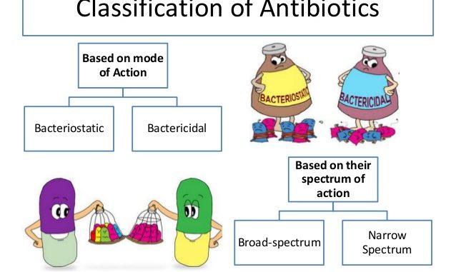 Antibiotic Spectrum Chart