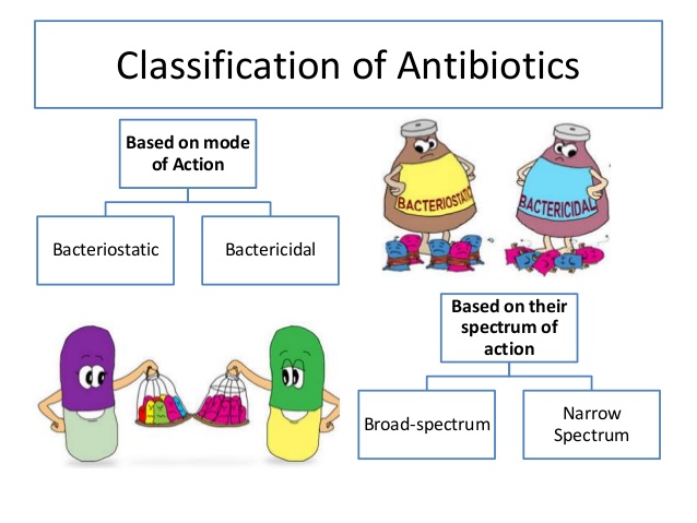 Classification of antibiotics - Online Biology Notes