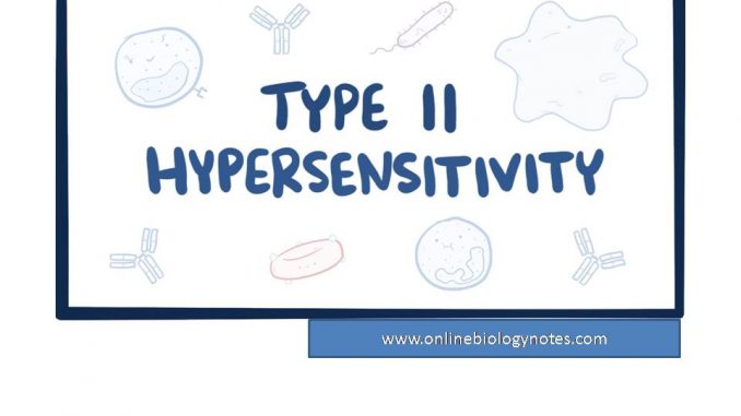 Types Of Hypersensitivity Chart