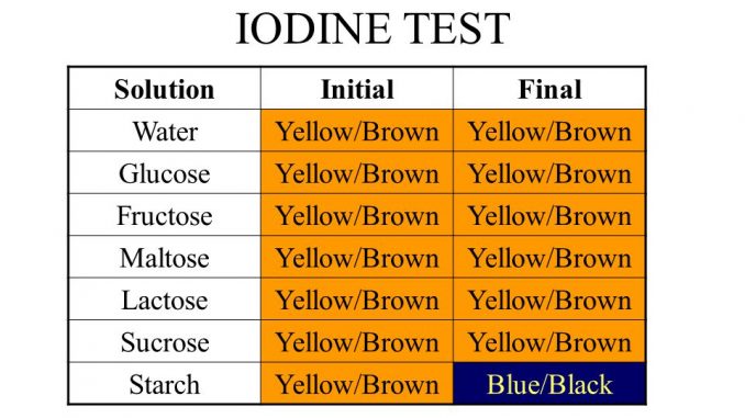 Iodine Test For Starch Color Chart