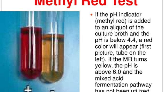Methyl red (MR) test: principle, procedure result Online Biology Notes