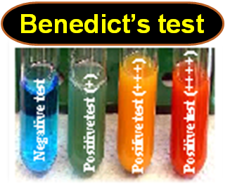 Benedict S Solution Color Chart