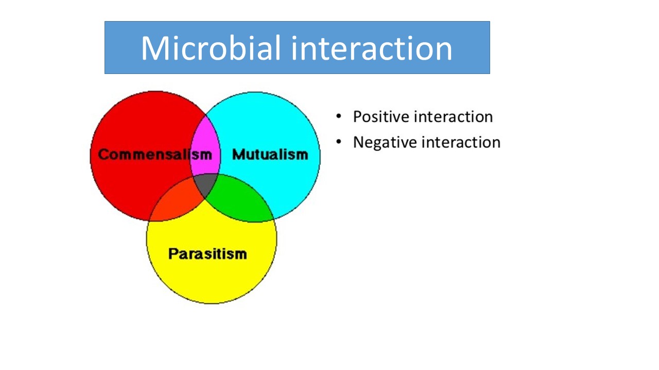 Microbial interaction and types (Mutualism, Syntropism, Proto-cooperation,  Commensalism, Antagonism, Parasitism, Predation, Competition) - Online  Biology Notes