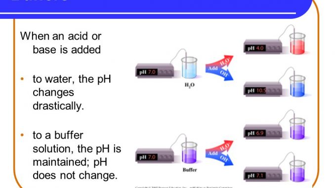 Buffer Action - Reaction Mechanism, Addition of Acid and Bases