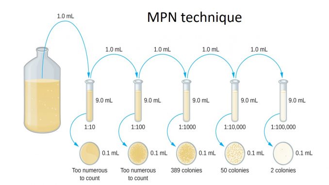 Mpn Chart For Coliforms