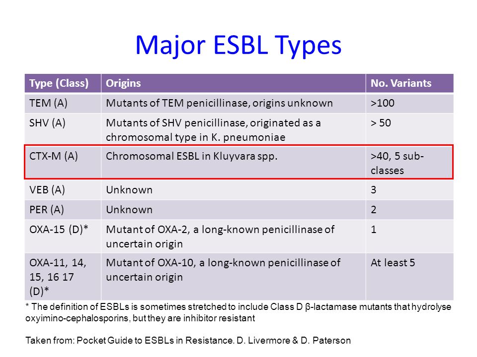 what is esbl infection