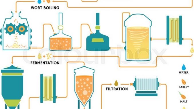 Brewing; beer production process - Online Biology Notes