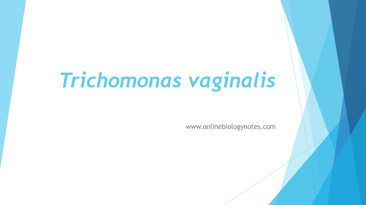 gyógyuljon meg Trichomonas ból)