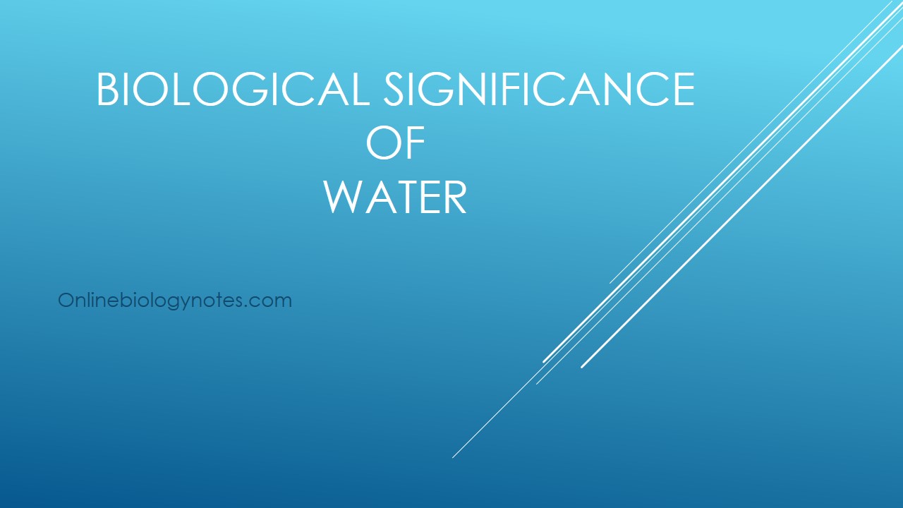 Biological significance of water - Online Biology Notes