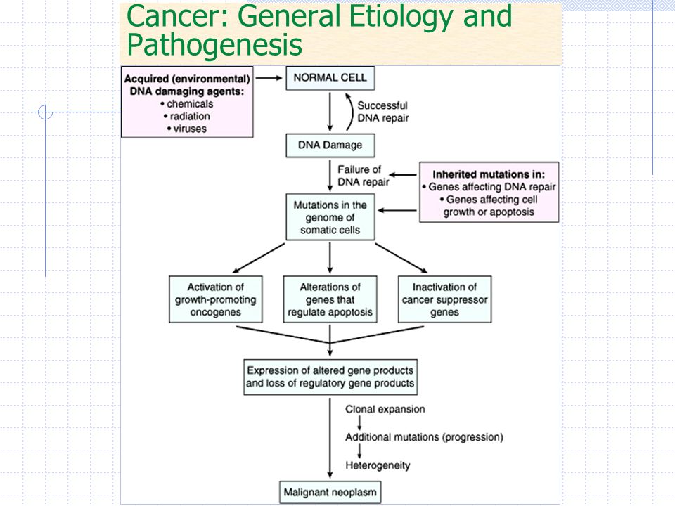 pathophysiology of cancer research paper