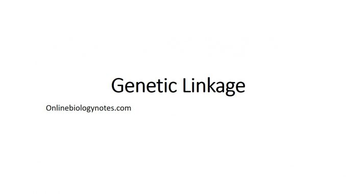 genetic linkage diagram