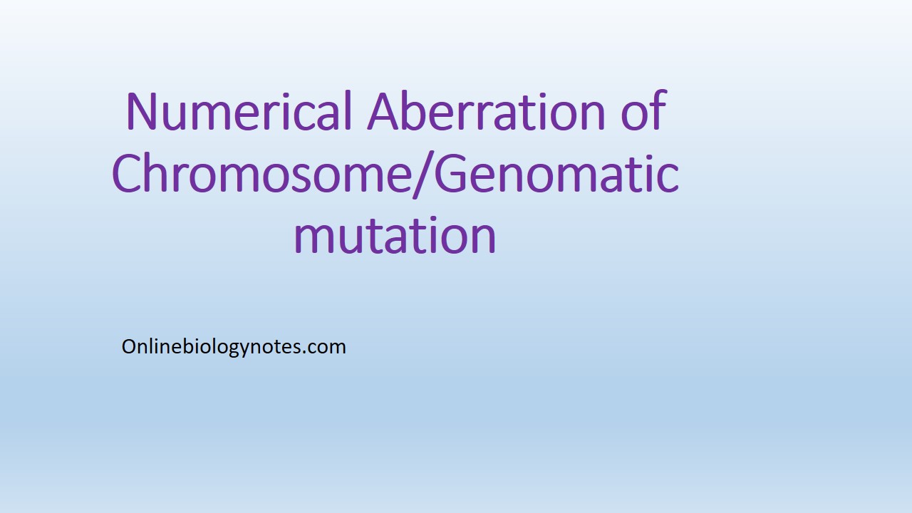 Numerical chromosomal aberration/ Chromosomal genomatic mutation - Online  Biology Notes