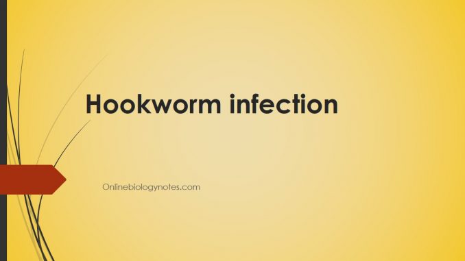 hookworm infection therapy