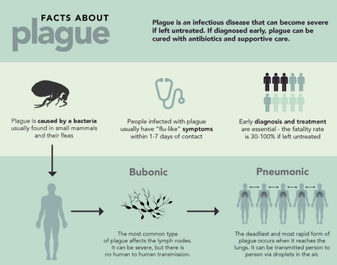 Plague Inc Symptoms Chart