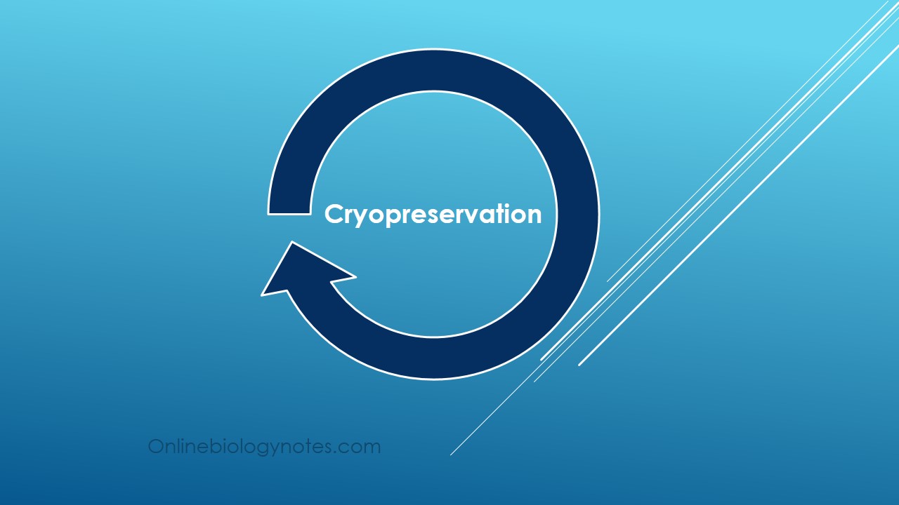 Cryopreservation: Principle, Process, limitations and precautions