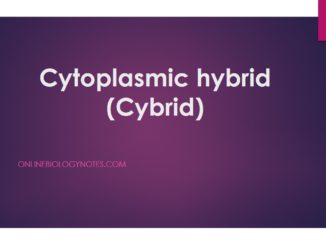 Cytoplasmic hybrid (Cybrid)-applications and limitations