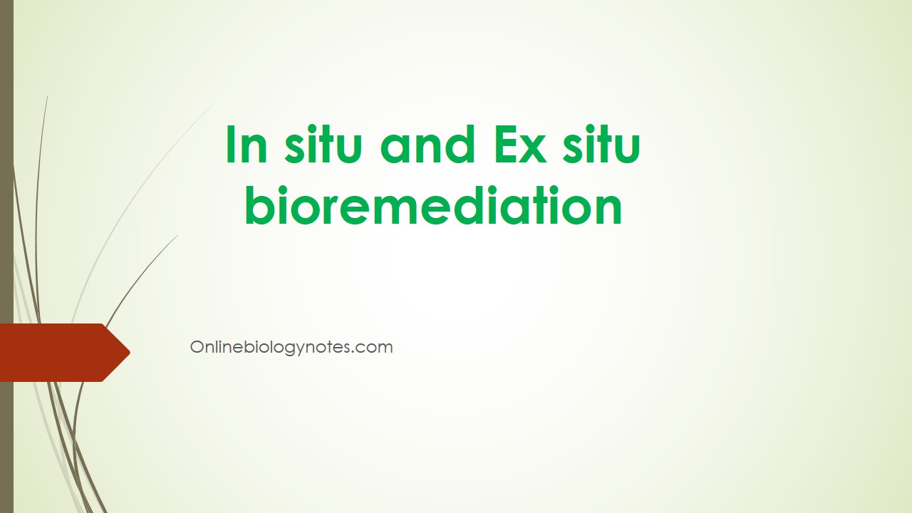 In Situ And Ex Situ Bioremediation Online Biology Notes