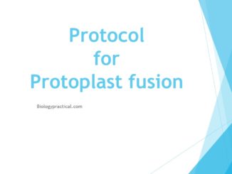 Protocol for Protoplast fusion