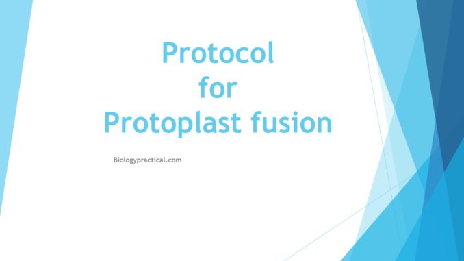 Protocol for Protoplast fusion