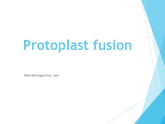 Protoplast fusion: Methods and mechanism