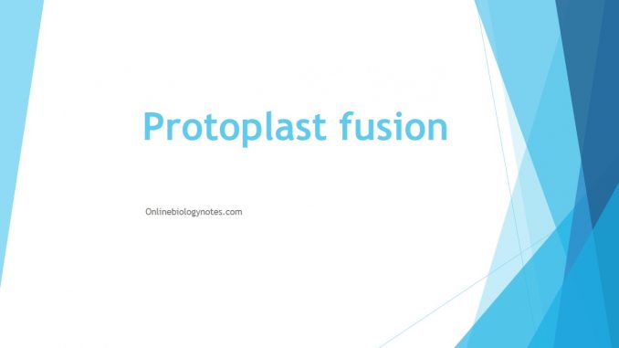 Protoplast fusion: Methods and mechanism