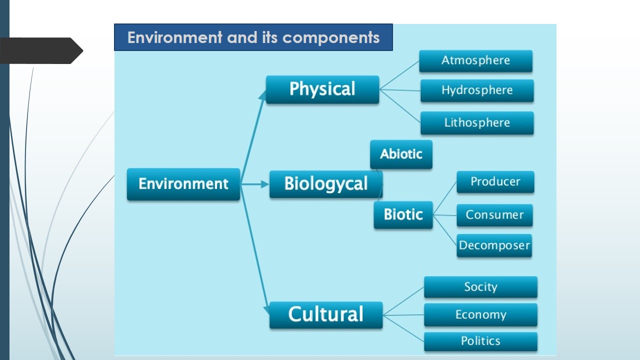 How many types of environment components are there?