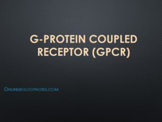 G-protein coupled receptor (GPCR): β -adrenergic signalling pathway