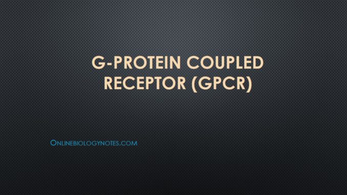G-protein coupled receptor (GPCR): β -adrenergic signalling pathway