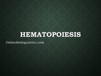 Hematopoiesis: Types of Haematopoietic stem cells, Process and Regulation