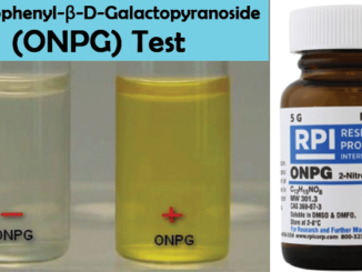 O-Nitrophenyl-β-D-Galactopyranoside (ONPG) test: Principle, Procedure and Results