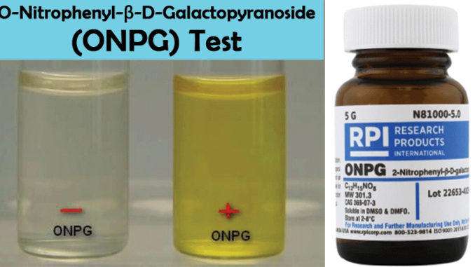 O-Nitrophenyl-β-D-Galactopyranoside (ONPG) test: Principle, Procedure and Results