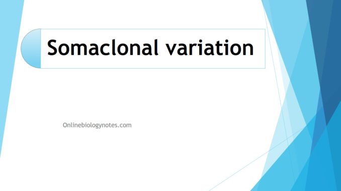 Somaclonal variation: Basis, Applications and limitations