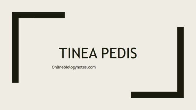 Tinea pedis: etiology, clinical manifestation, diagnosis and treatment