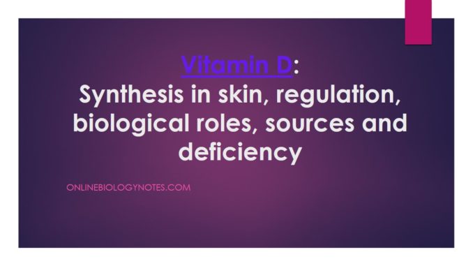 Vitamin D: Synthesis in skin, regulation, biological roles, sources and deficiency