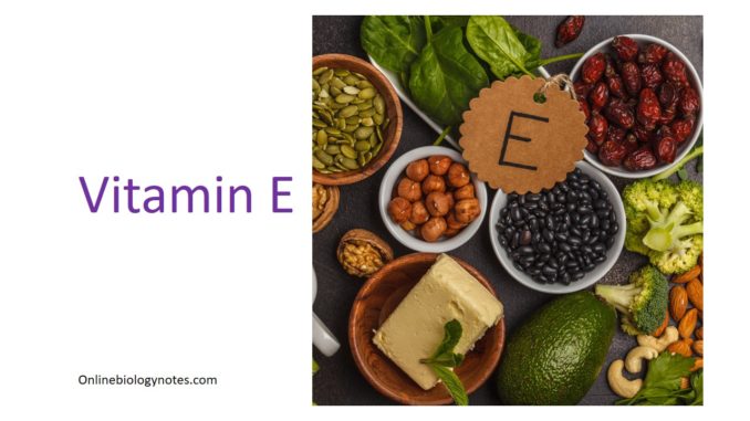 Vitamin E (Tocopherol): Biosynthesis, Biological roles and Deficiency
