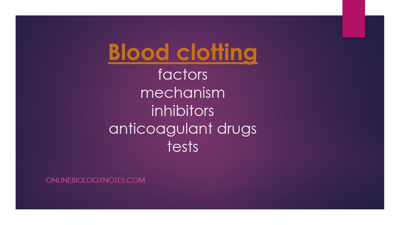 Blood clotting: factors, mechanism and inhibitors - Online Biology Notes