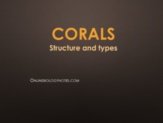 Corals: Structure and Types