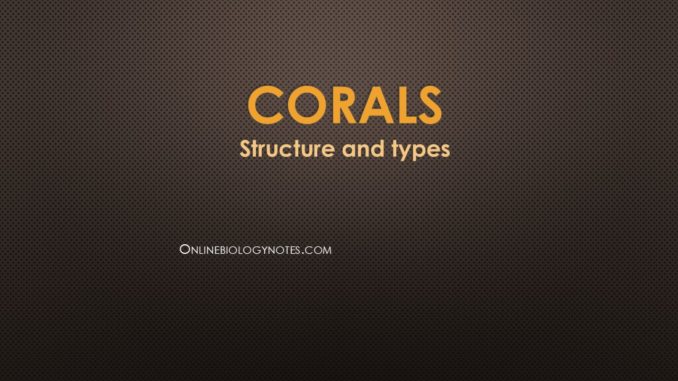 Corals: Structure and Types