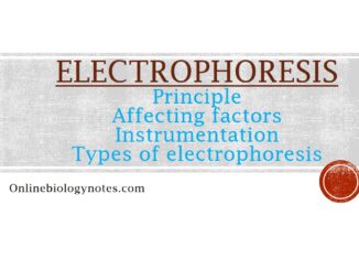 Electrophoresis Principle, affecting factors and types