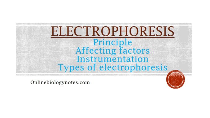 Electrophoresis Principle, affecting factors and types